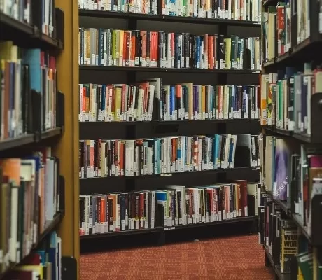 Best Non-Fiction Book Series for 11 and 12 year olds